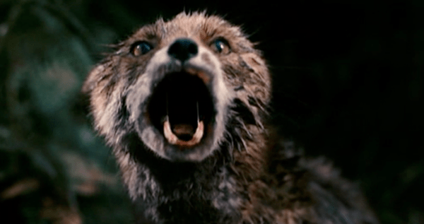 Watch: Lars von Trier Is the Filmmaker of&nbsp;Assault