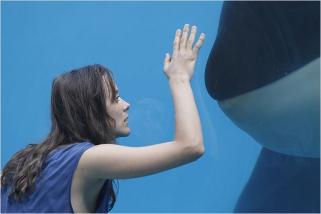 CANNES 2012: Jacques Audiard’s RUST AND&nbsp;BONE