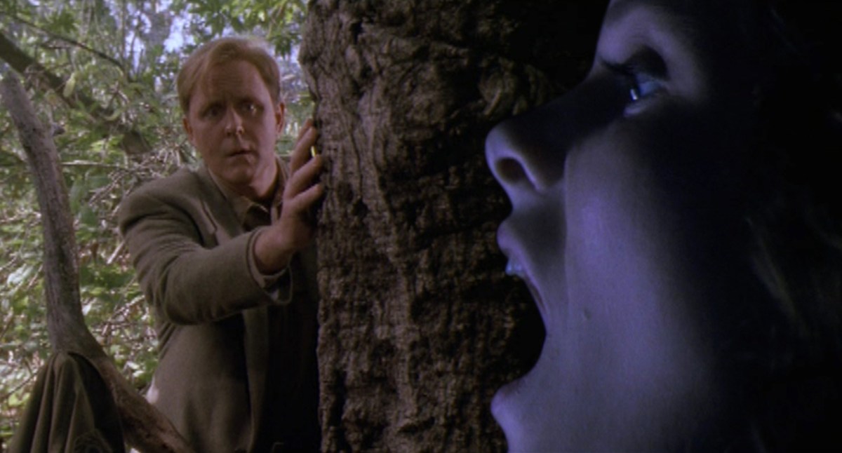 IFC: The rise of film critic&nbsp;filmmaker