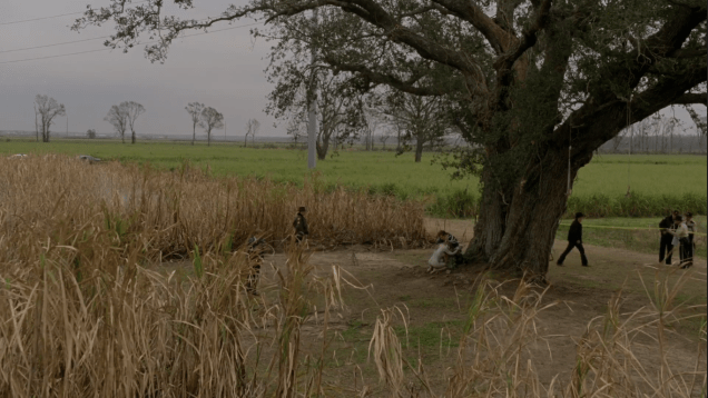 Watch: The Louisiana Landscapes of TRUE DETECTIVE As One Grand Open Stage: A Video&nbsp;Essay